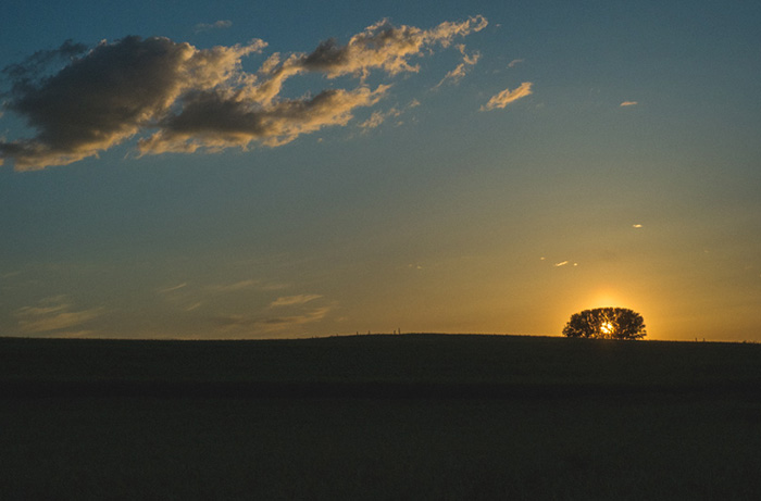 Perfectly Timed Photos