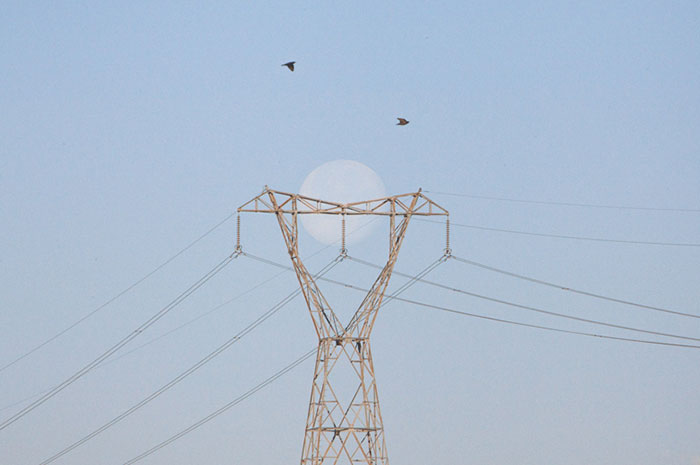 Perfectly Timed Photos