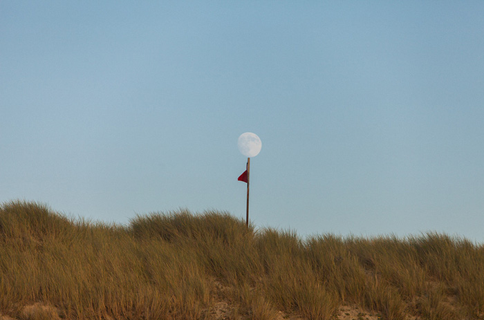 Perfectly Timed Photos