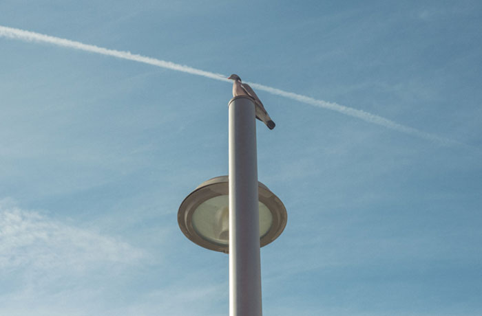 Perfectly Timed Photos