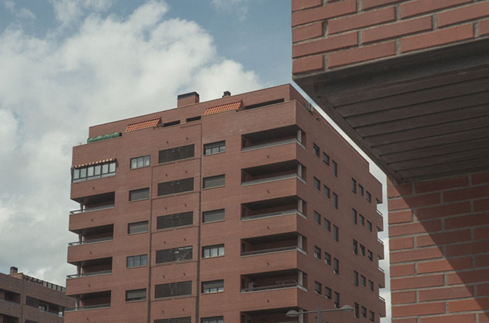 Perfectly Timed Photos