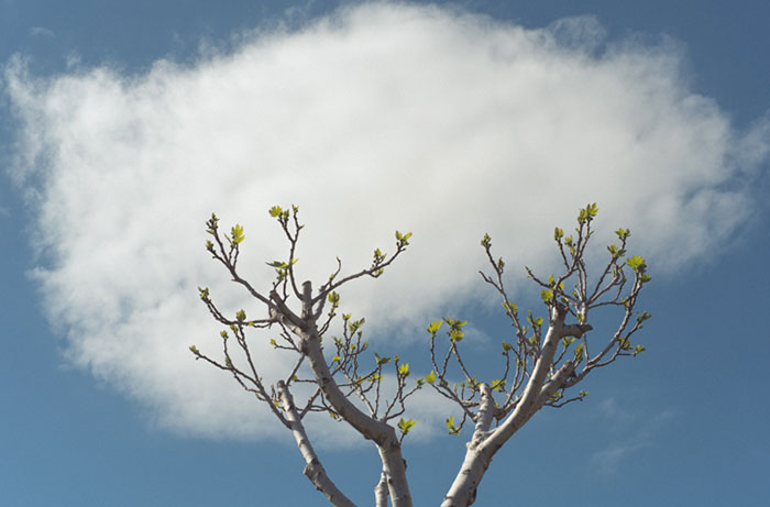 Perfectly Timed Photos