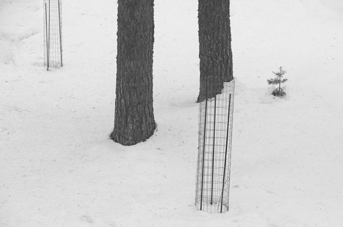 Perfectly Timed Photos