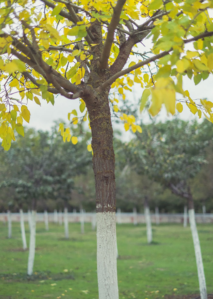 Perfectly Timed Photos