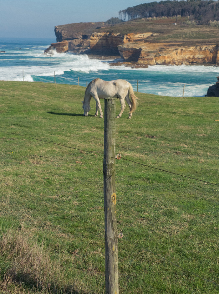 Perfectly Timed Photos