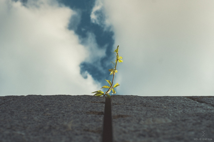 Perfectly Timed Photos