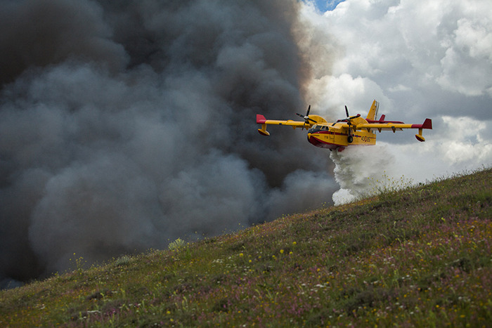 Perfectly Timed Photos