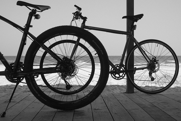 Perfectly Timed Photos