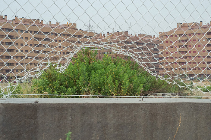 Perfectly Timed Photos