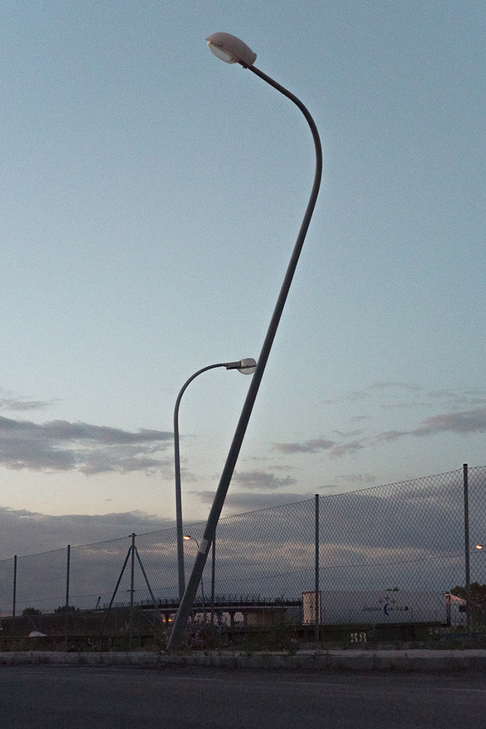 Perfectly Timed Photos