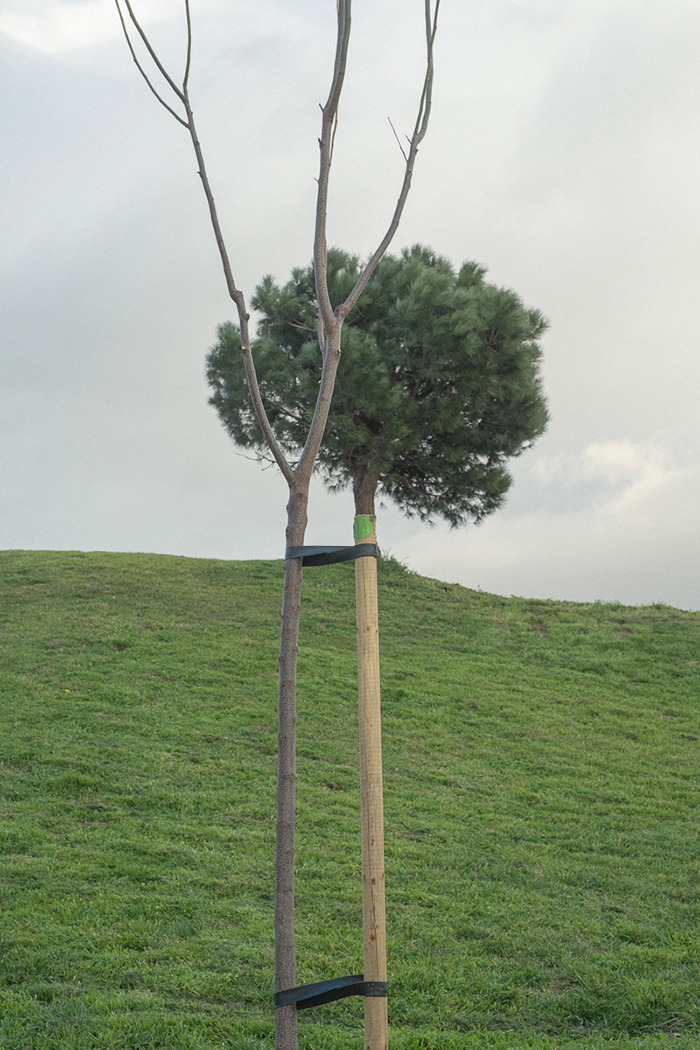 Perfectly Timed Photos