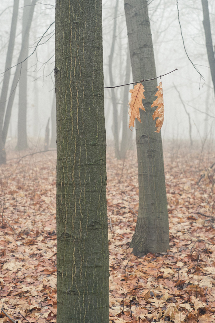 Perfectly Timed Photos