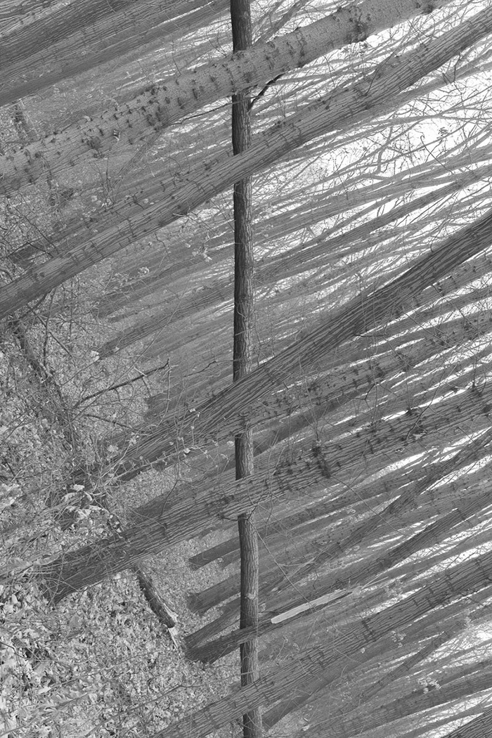 Perfectly Timed Photos