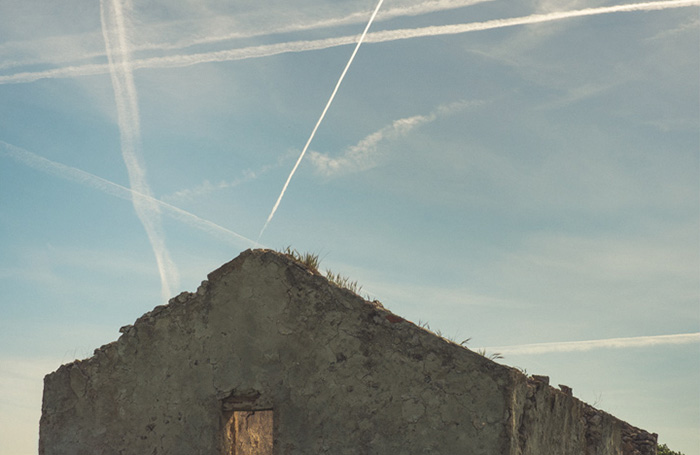 Perfectly Timed Photos