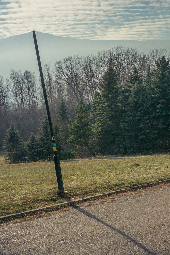 Perfectly Timed Photos