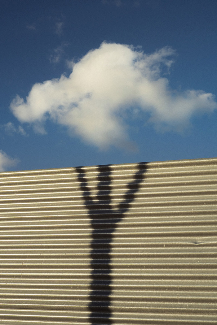 Perfectly Timed Photos