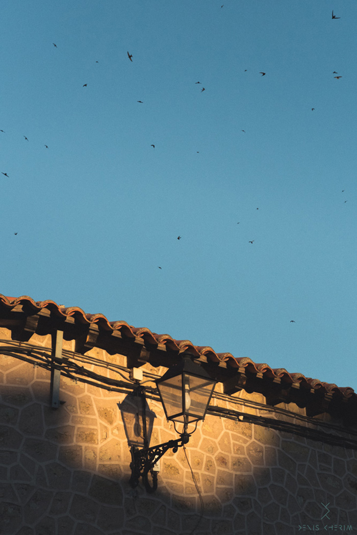 Perfectly Timed Photos