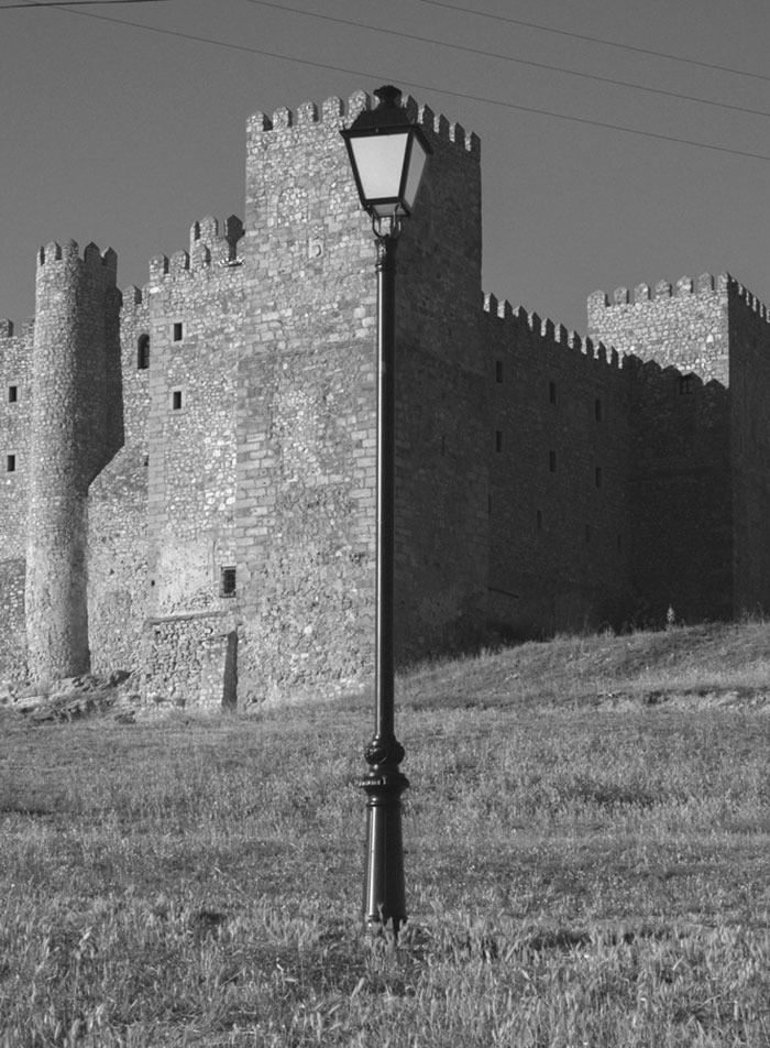 Perfectly Timed Photos