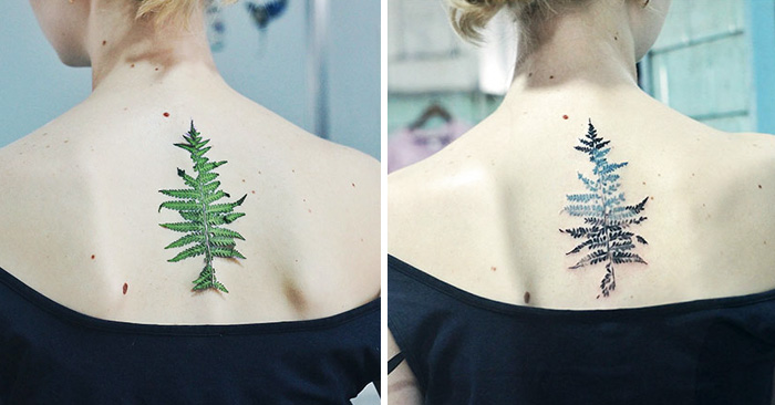 Botanical tattoo created using real leaves as stencils on a person's back, showcasing vibrant plant designs.