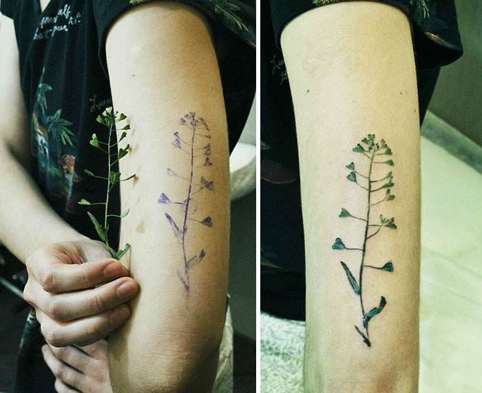 Botanical tattoo on arm using real leaf as stencil before inking.