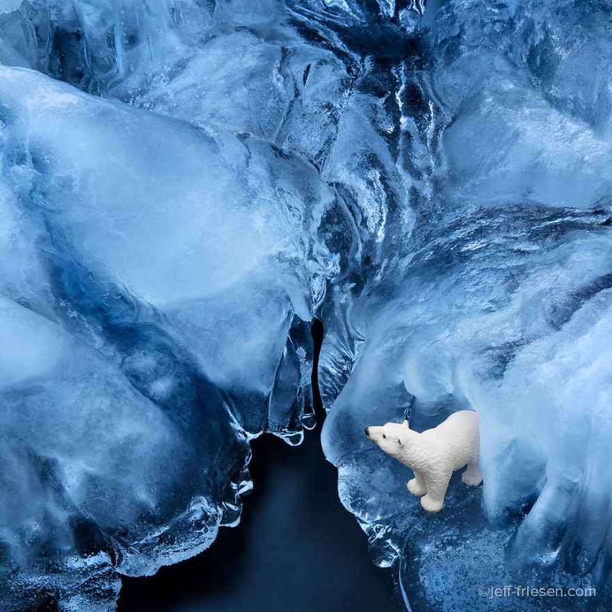 I Made These Photos To Raise Awareness About Human Threats To Wildlife I Made These Photos To Raise Awareness About Human Threats To Wildlife