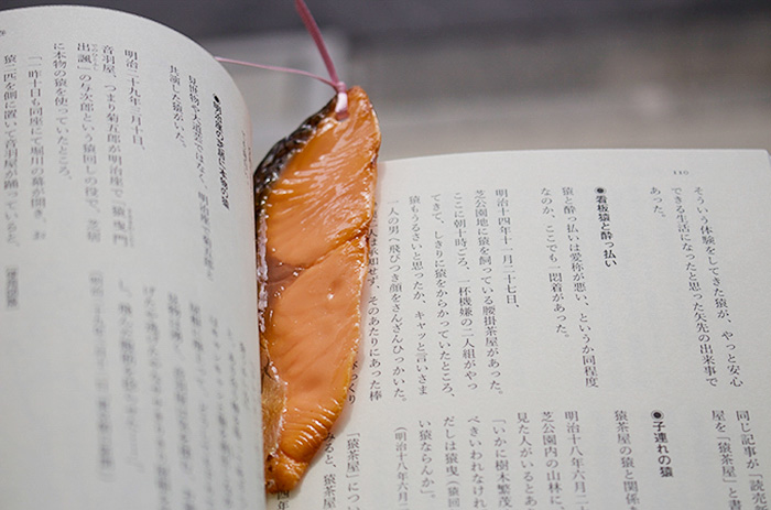 realistic-fake-food-bookmarks-tokyo-kitsch-japan-1 realistic-fake-food-bookmarks-tokyo-kitsch-japan-1