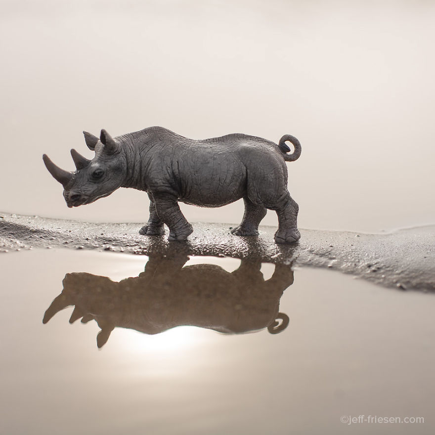 I Made These Photos To Raise Awareness About Human Threats To Wildlife I Made These Photos To Raise Awareness About Human Threats To Wildlife