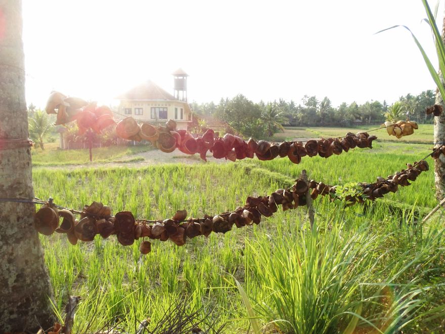 4 Years Ago, I Left The U.s. To Explore The World. These 35 Photos Showcase My Experience 4 Years Ago, I Left The U.s. To Explore The World. These 35 Photos Showcase My Experience