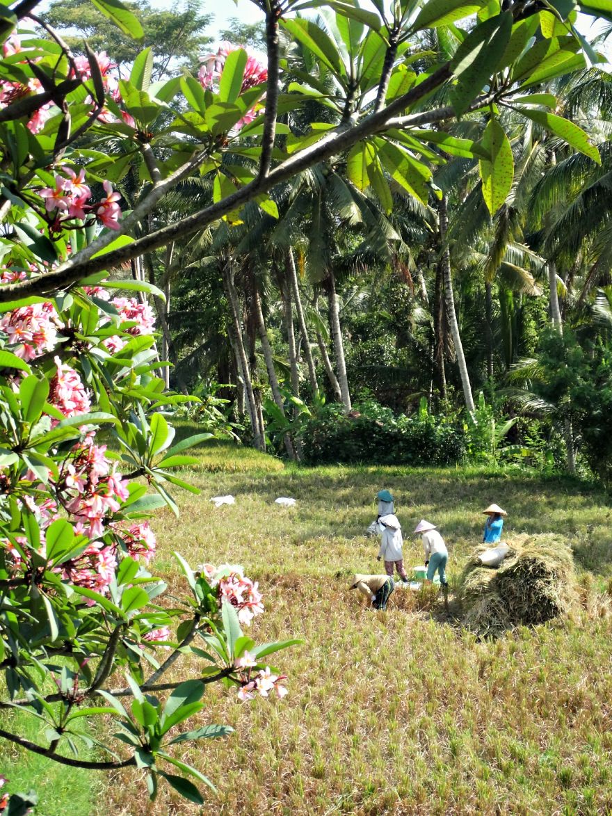 4 Years Ago, I Left The U.s. To Explore The World. These 35 Photos Showcase My Experience