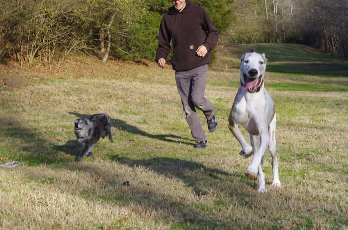 Rushmore And Leeloo Loved To Run At The Park