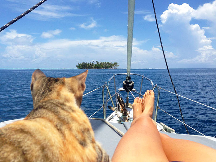 sailing-cat-travelling-world-liz-clark-20 sailing-cat-travelling-world-liz-clark-20