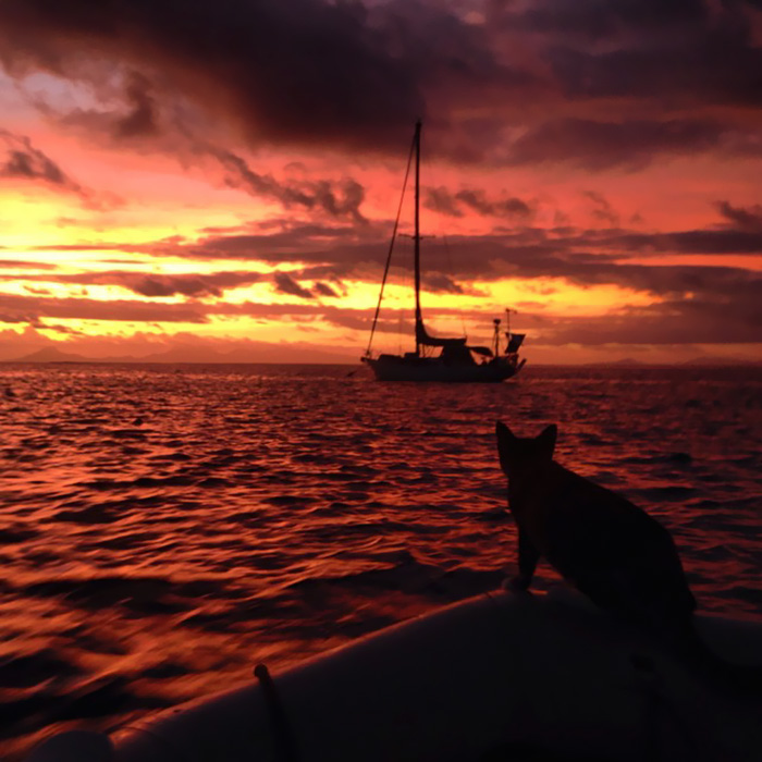 sailing-cat-travelling-world-liz-clark-45 sailing-cat-travelling-world-liz-clark-45