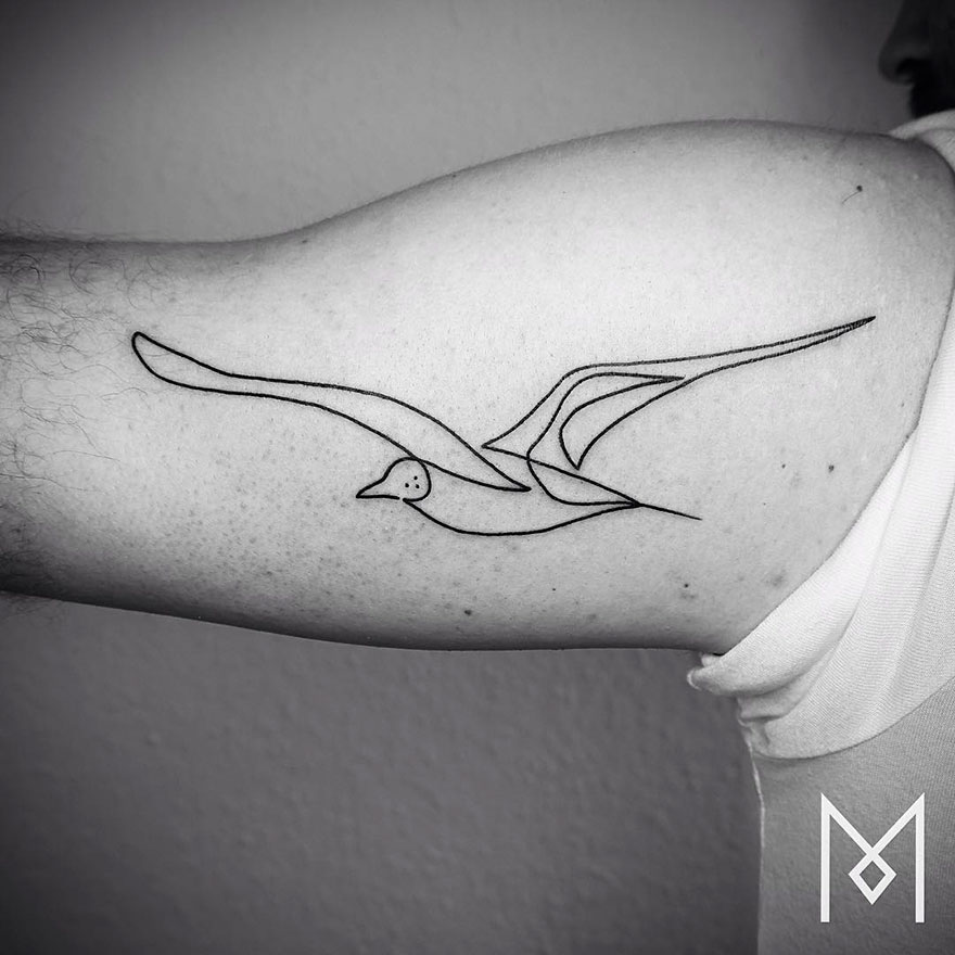 Minimalist single line tattoo of a bird on an arm by Iranian-German artist.