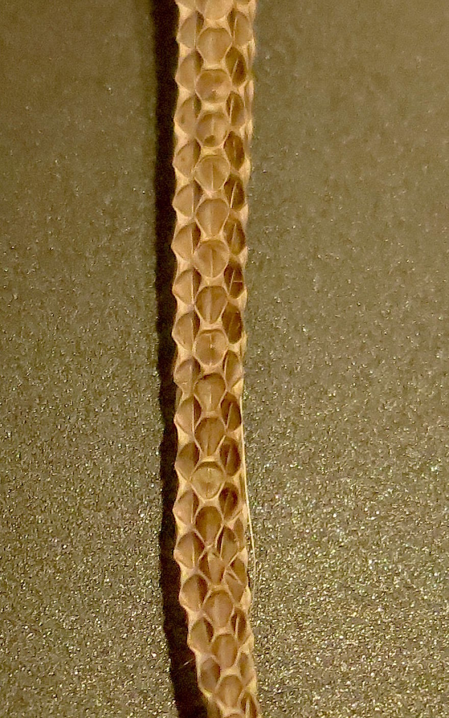 I Found This Snakeskin On My Farm I Found This Snakeskin On My Farm