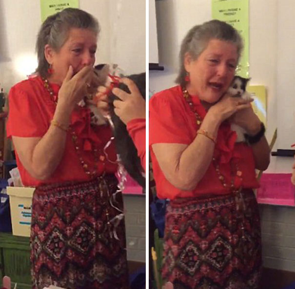 students-give-kittens-teacher-2 students-give-kittens-teacher-2