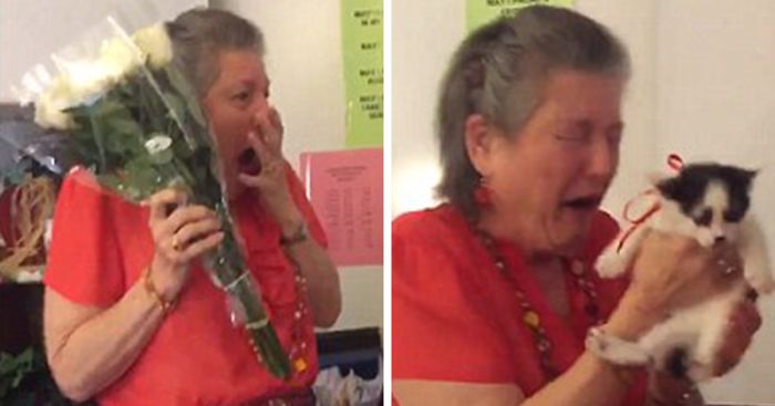 Teacher Lost Her 16 y/o Cat, So Her Students Surprised Her With 2 Rescue Kittens
