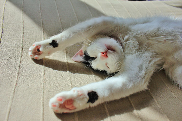 Melcia Relaxing On "Her" Bed