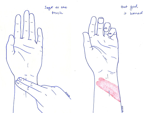 Elliana Esquivel Illustrations