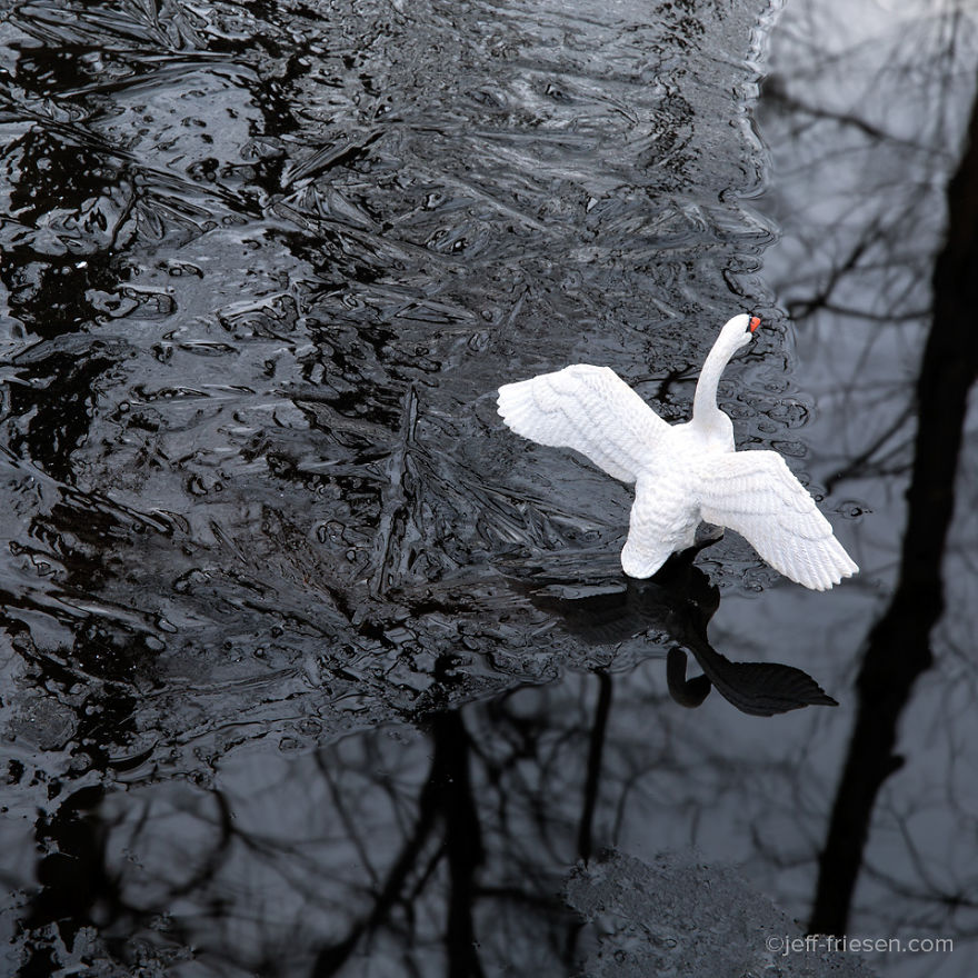 I Made These Photos To Raise Awareness About Human Threats To Wildlife I Made These Photos To Raise Awareness About Human Threats To Wildlife