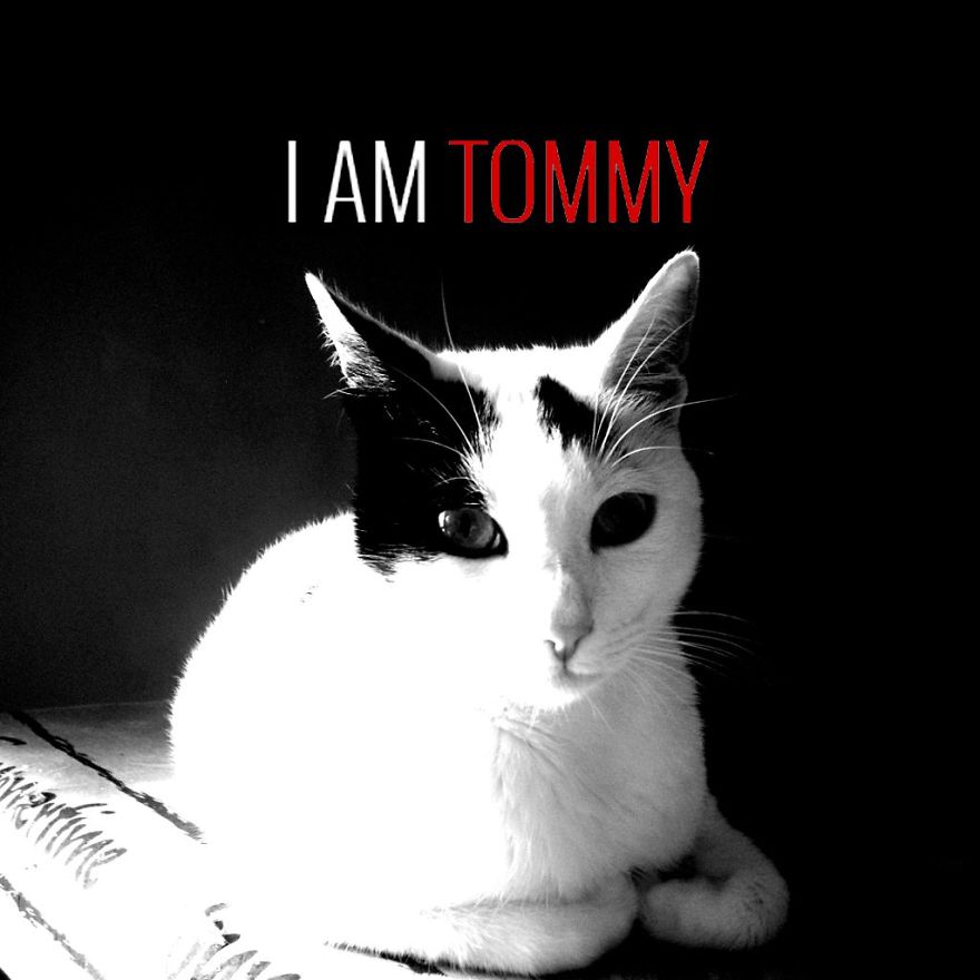 I Am Tommy
