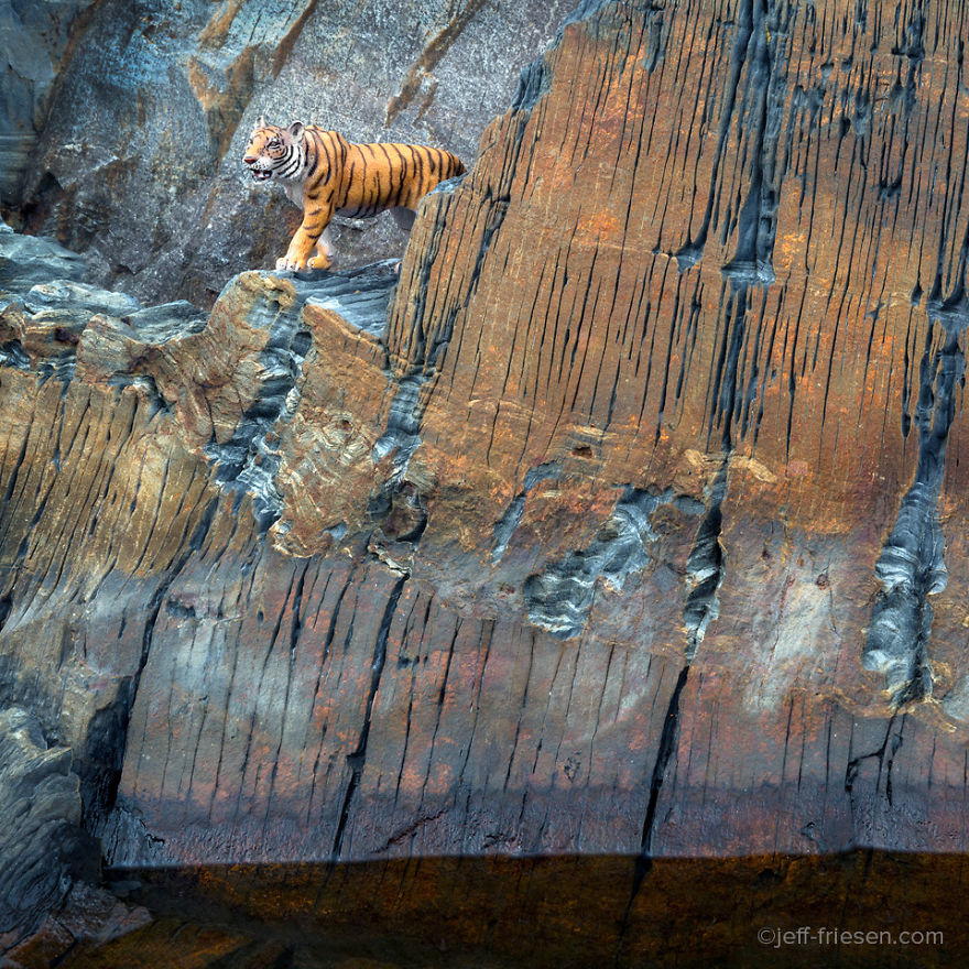 I Made These Photos To Raise Awareness About Human Threats To Wildlife I Made These Photos To Raise Awareness About Human Threats To Wildlife