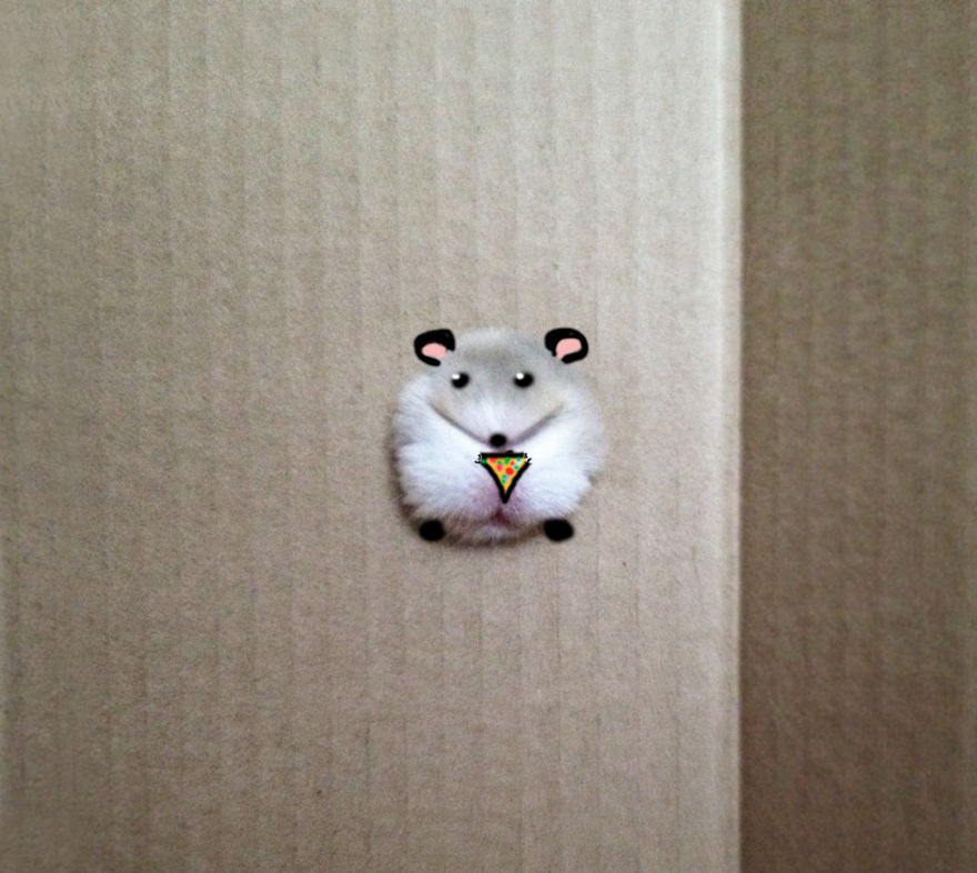 A Tiny Hamster Eating A Tiny Slice Of Pizza