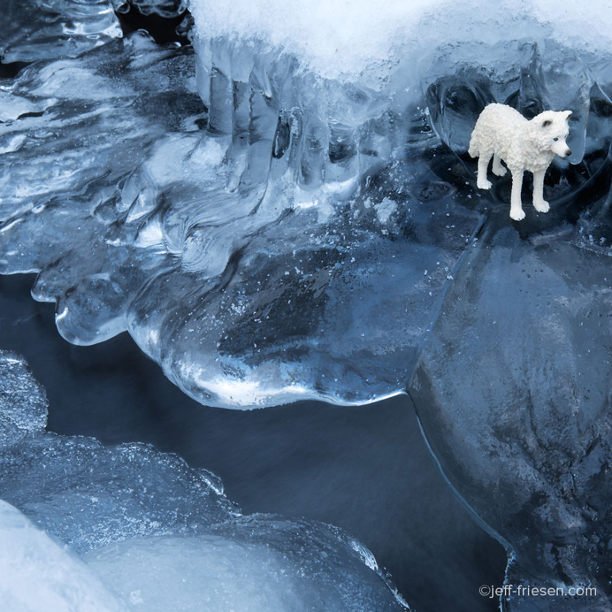 I Made These Photos To Raise Awareness About Human Threats To Wildlife I Made These Photos To Raise Awareness About Human Threats To Wildlife