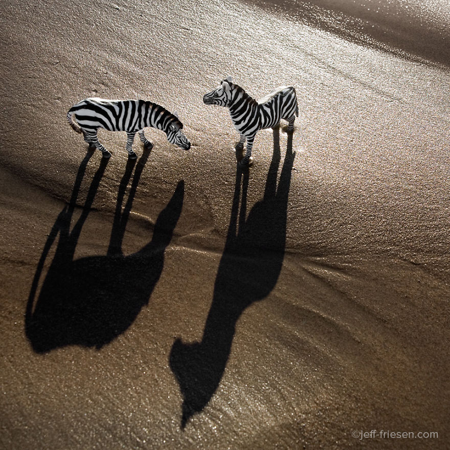 I Made These Photos To Raise Awareness About Human Threats To Wildlife I Made These Photos To Raise Awareness About Human Threats To Wildlife