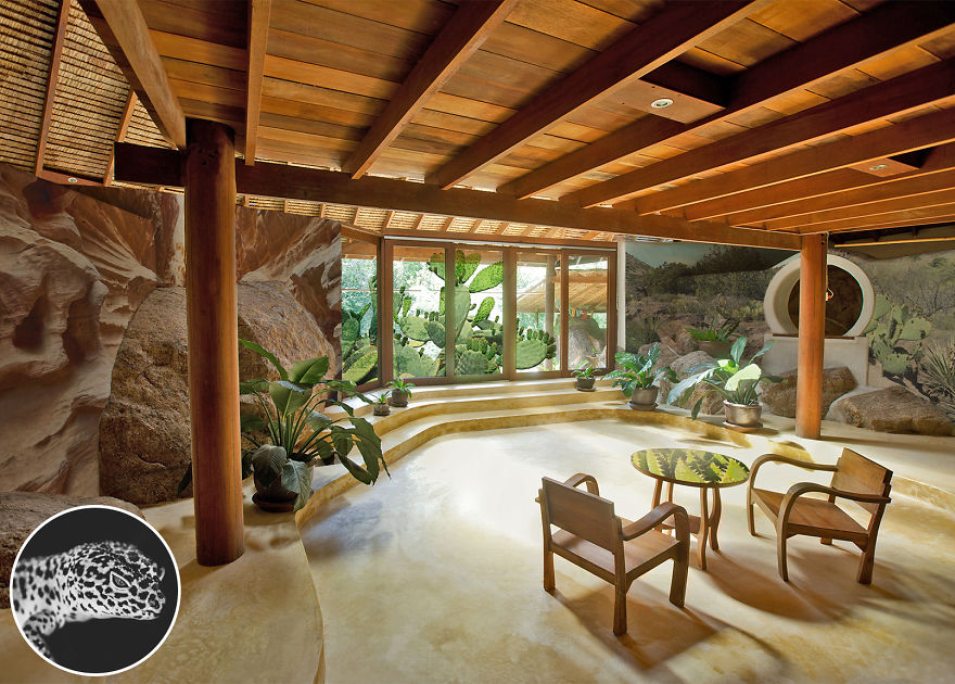 We Reveal The Secret Life Of Our Pets