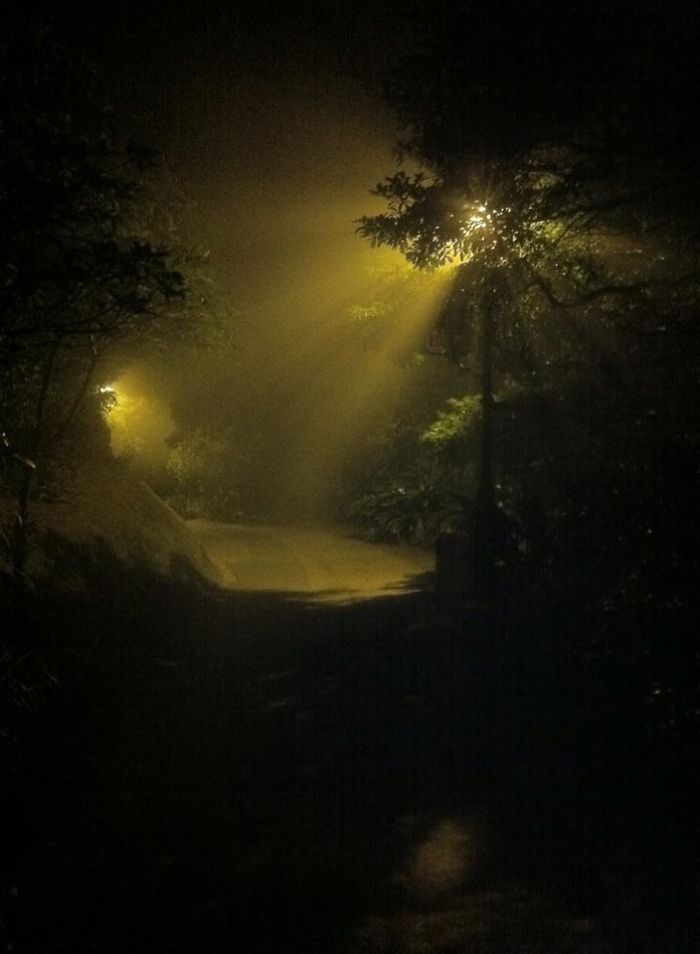 Midnight Walk #2, A Foggy Night.... With An Iphone4