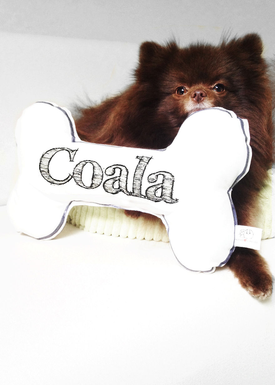 Meet Coala And Cawaii, The Two Pomeranian Fluff Balls That Changed My Life Meet Coala And Cawaii, The Two Pomeranian Fluff Balls That Changed My Life