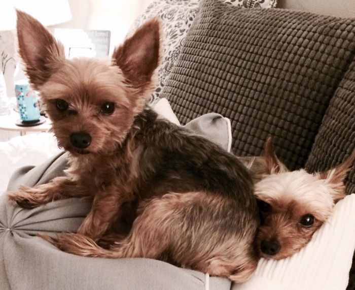 What?! I'm Just Sitting Here.