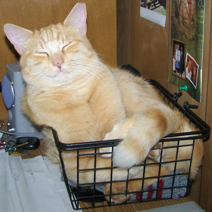 Murray The Office Supervisor