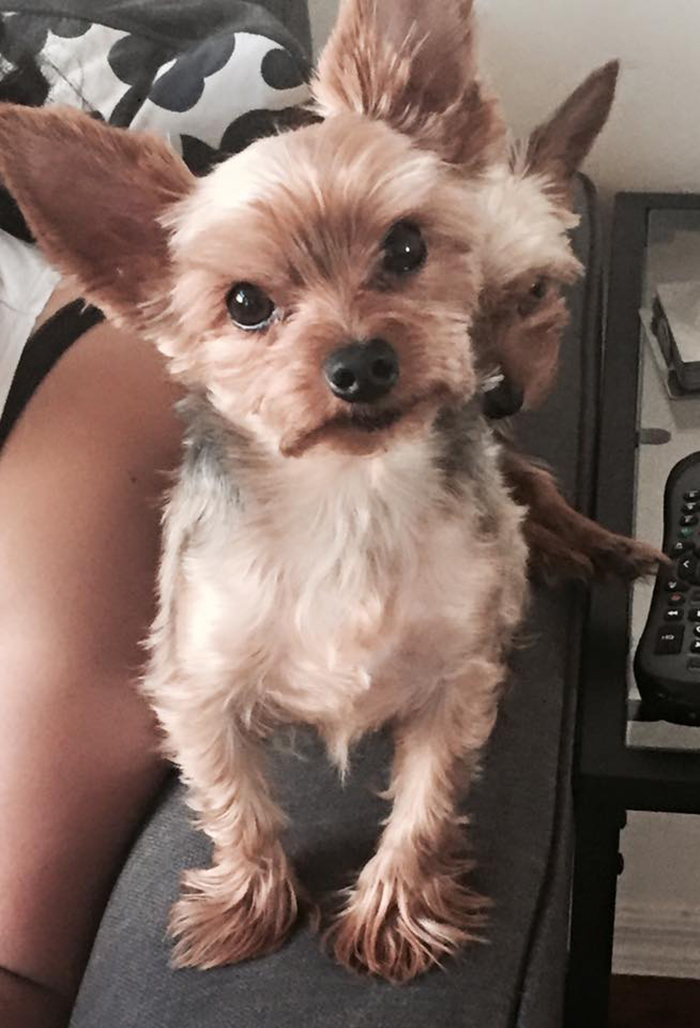 Photo Was Supposed To Be Of His Brother, The One In The Back, Not Him. Photobomb Level: Genius.